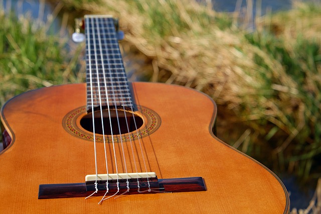 kytara v trávě