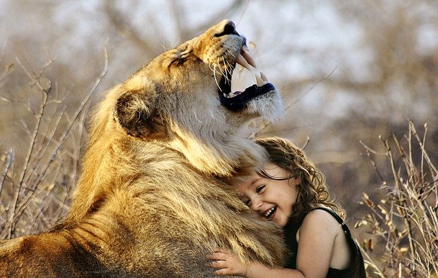 lev a dítě